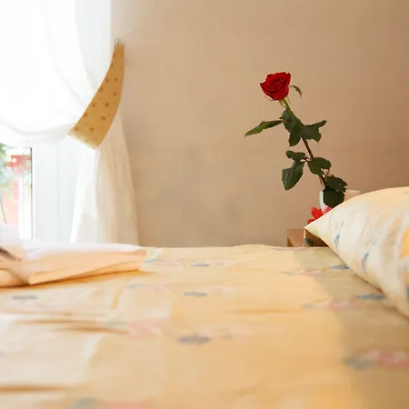 Ξενοδοχείο Allegroitalia Rosa