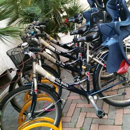 Allegroitalia Rosa מלון אלסיו