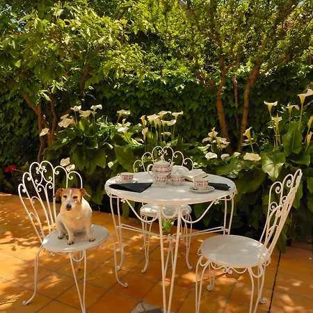 Allegroitalia Rosa מלון 3*